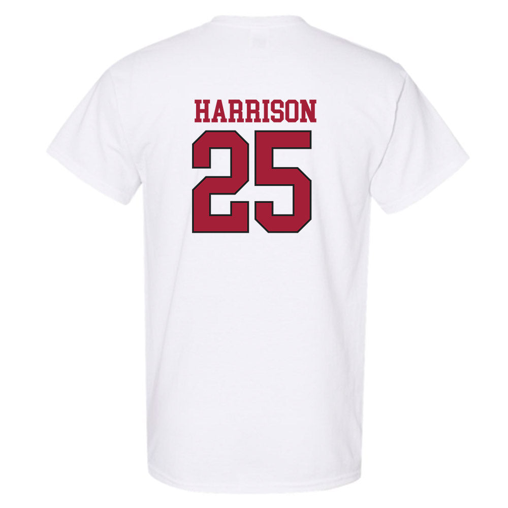 Arkansas - NCAA Softball : Cameryn Harrison - Replica Shersey T-Shirt-1