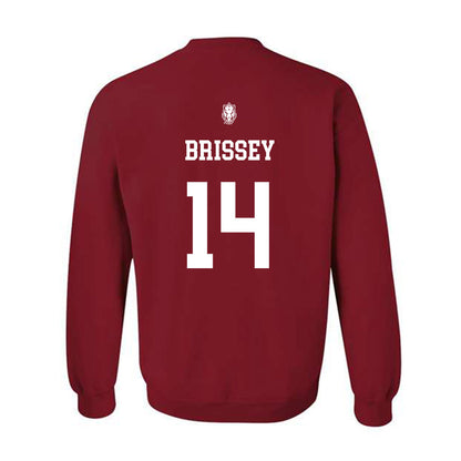 Arkansas - NCAA Baseball : Mark Brissey - Classic Shersey Crewneck Sweatshirt-1
