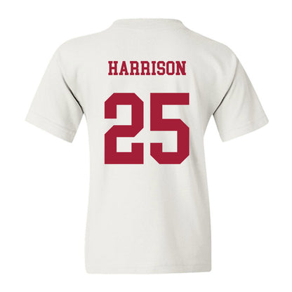 Arkansas - NCAA Softball : Cameryn Harrison - Sports Shersey Youth T-Shirt-1