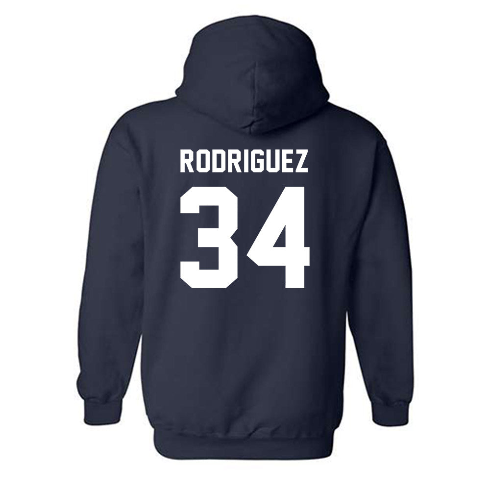 Auburn - NCAA Softball : Destiny Rodriguez - Generic Shersey Hooded Sweatshirt-1