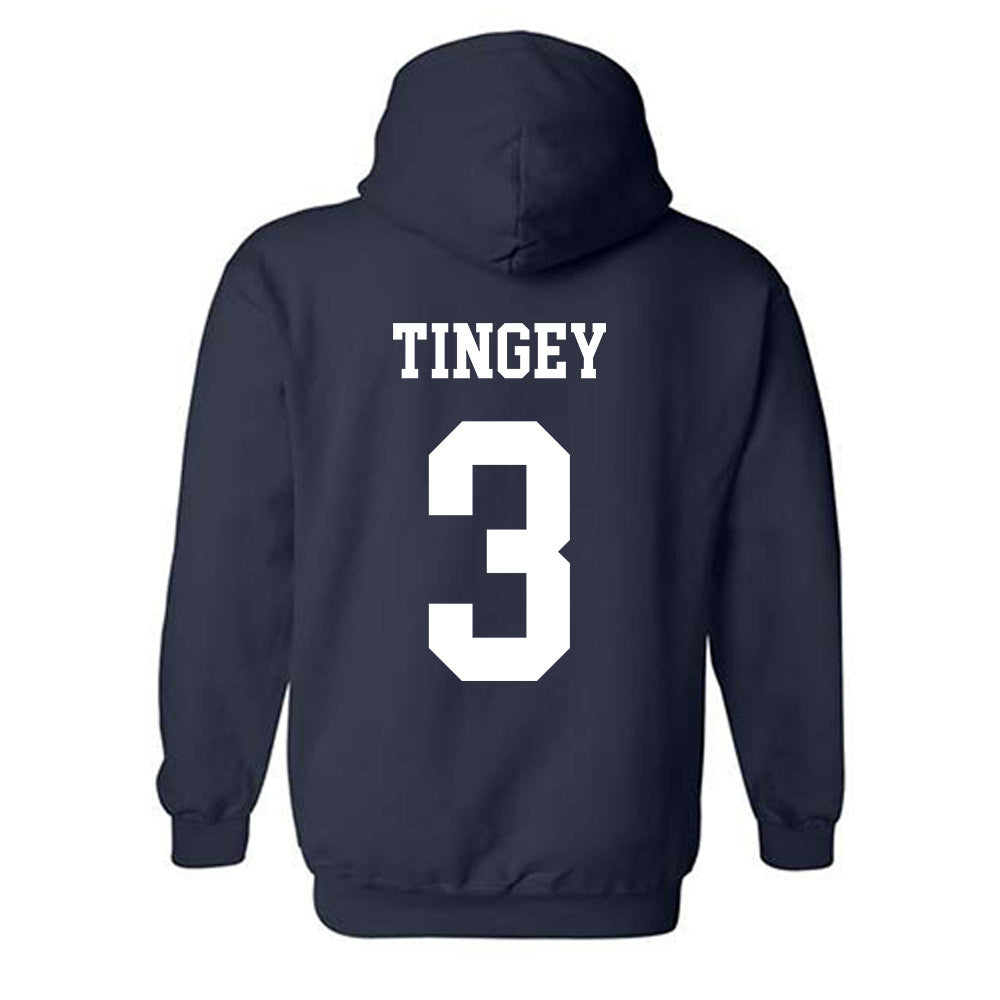 BYU - NCAA Women's Volleyball : Kaylee Tingey - Generic Shersey Hooded Sweatshirt-1