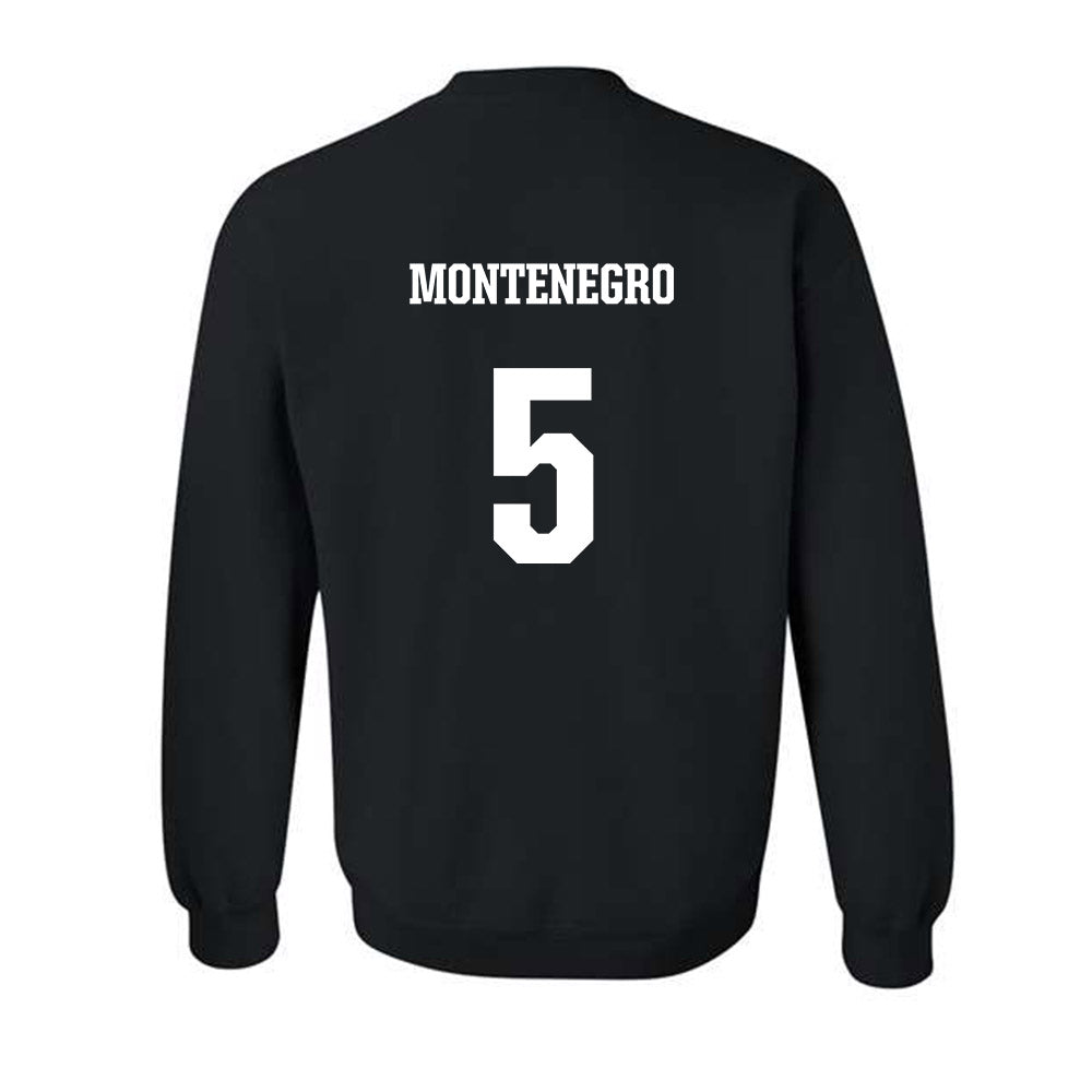FSU - NCAA Baseball : Marvin Montenegro - Fashion Shersey Crewneck Sweatshirt-1