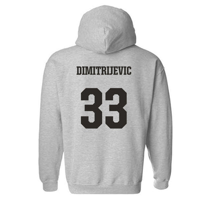 FSU - NCAA Softball : Lisabella Dimitrijevic - Fashion Shersey Hooded Sweatshirt-1