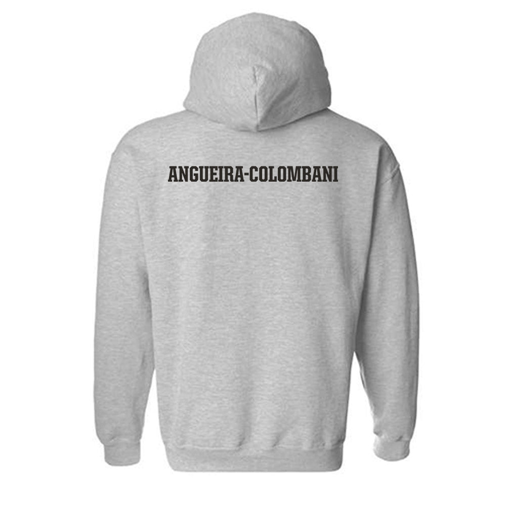 FSU - NCAA Women's Swimming & Diving : Alexandra Angueira-Colombani - Fashion Shersey Hooded Sweatshirt-1
