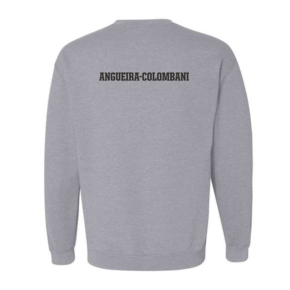 FSU - NCAA Women's Swimming & Diving : Alexandra Angueira-Colombani - Fashion Shersey Crewneck Sweatshirt-1