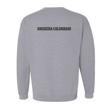 FSU - NCAA Women's Swimming & Diving : Alexandra Angueira-Colombani - Fashion Shersey Crewneck Sweatshirt-1