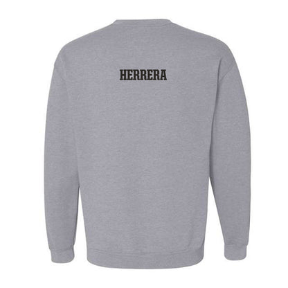 FSU - NCAA Men's Track & Field : Anthony Herrera - Fashion Shersey Crewneck Sweatshirt-1