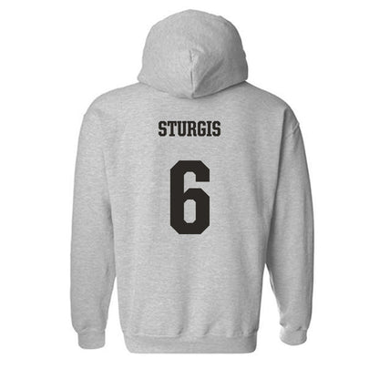 FSU - NCAA Softball : Makenna Sturgis - Fashion Shersey Hooded Sweatshirt-1