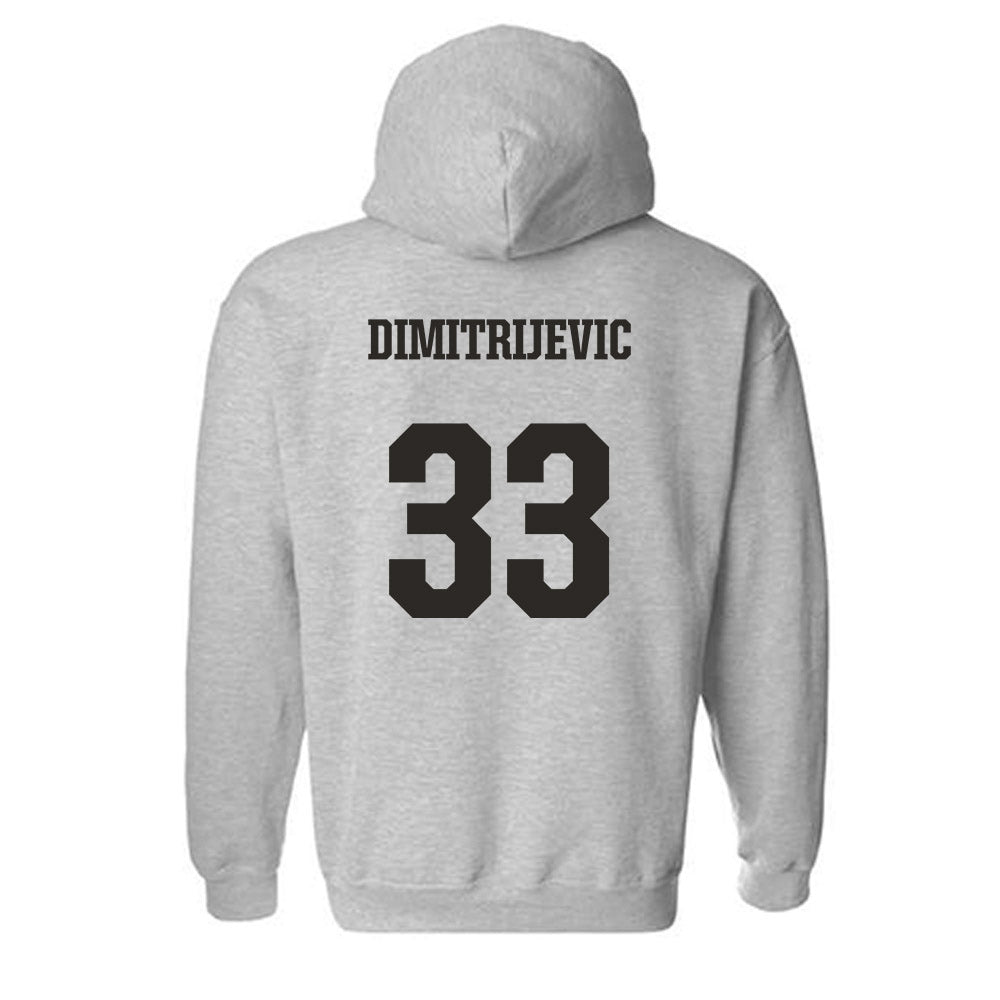 FSU - NCAA Softball : Bella Dimitrijevic - Fashion Shersey Hooded Sweatshirt-1