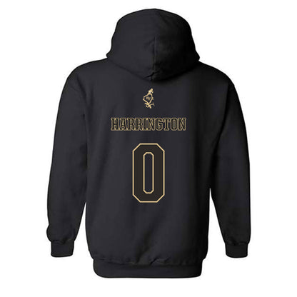 Wake Forest - NCAA Football : Ryan Harrington - Hooded Sweatshirt-1