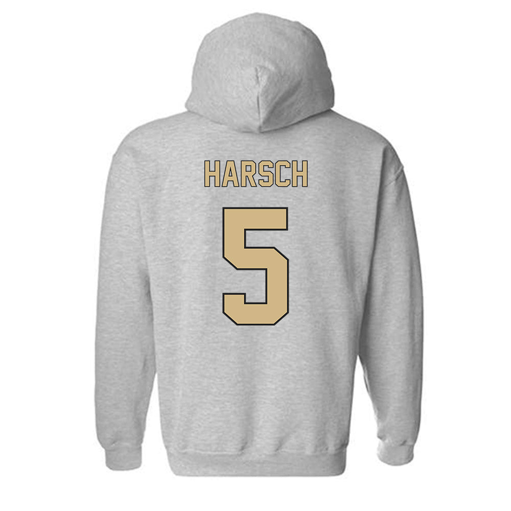Wake Forest - NCAA Baseball : Marcelo Harsch - Fashion Shersey Hooded Sweatshirt-1