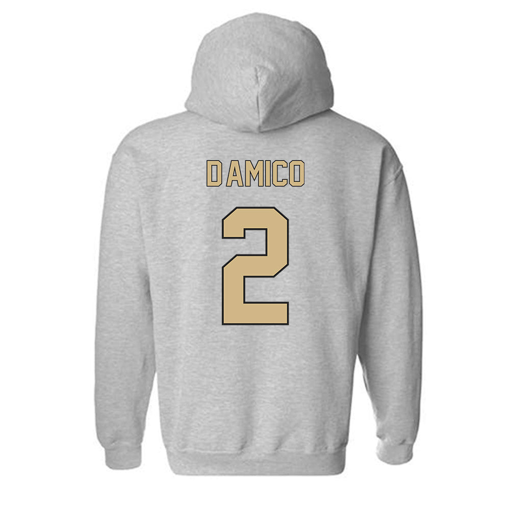 Wake Forest - NCAA Baseball : Logan D'Amico - Fashion Shersey Hooded Sweatshirt-1