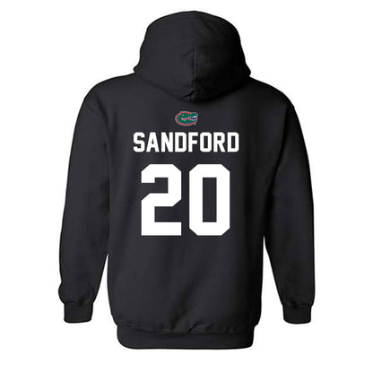 Florida - NCAA Baseball : Schuyler Sandford - Sports Shersey Hooded Sweatshirt-1
