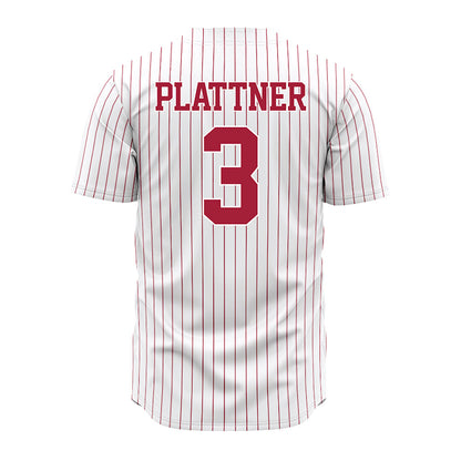 Alabama - NCAA Baseball : Will Plattner - Pinstripe Jersey-2