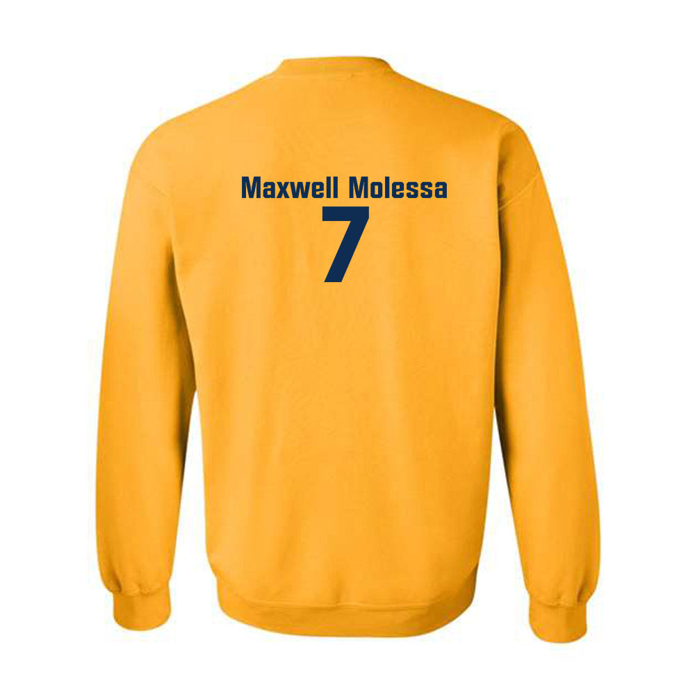 West Virginia - NCAA Baseball : Maxwell Molessa - Fashion Shersey Crewneck Sweatshirt-1