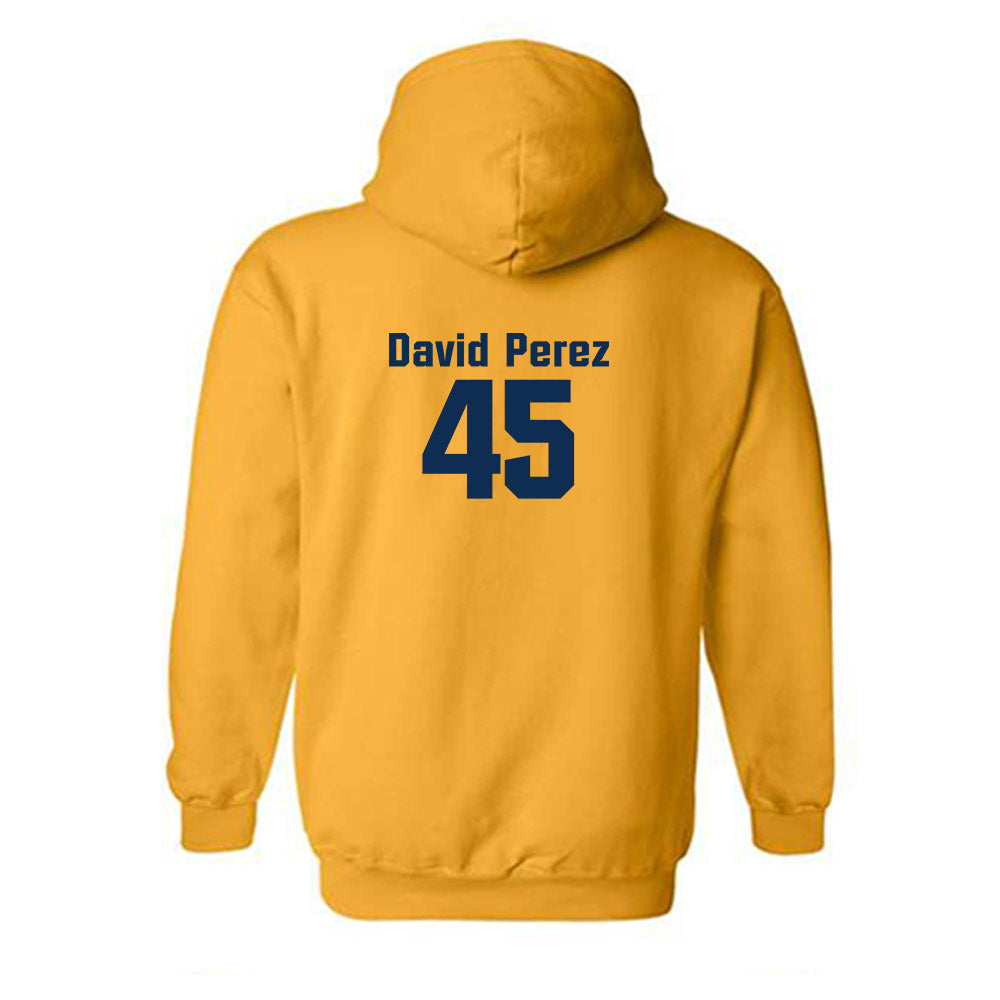 West Virginia - NCAA Baseball : David Perez - Fashion Shersey Hooded Sweatshirt-1