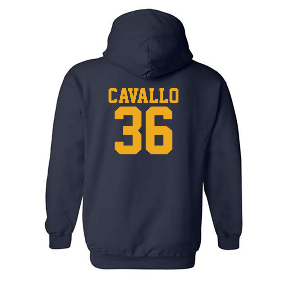 West Virginia - NCAA Baseball : Hudson Cavallo - Fashion Shersey Hooded Sweatshirt-1