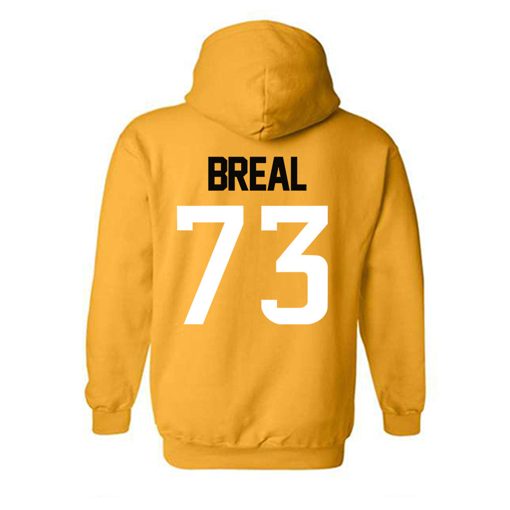 Southern Miss - NCAA Football : Hayden Breal - Sports Shersey Hooded Sweatshirt-1