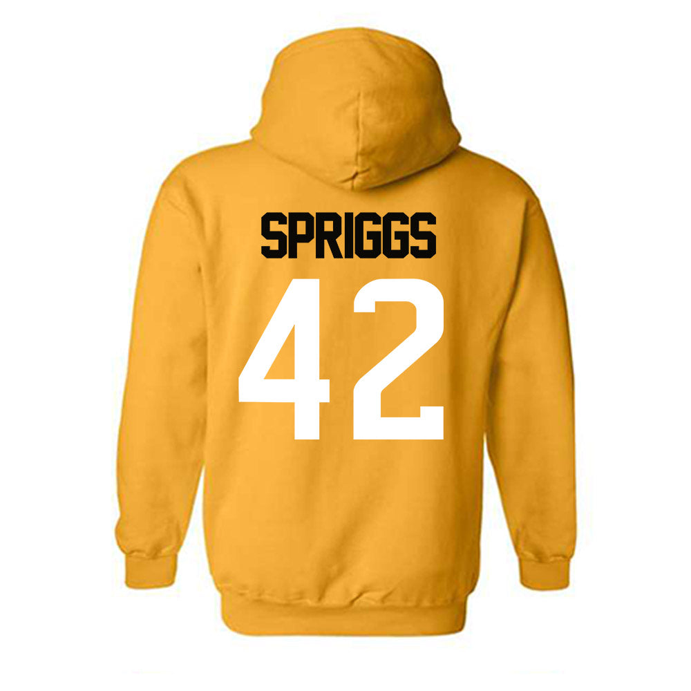 Southern Miss - NCAA Football : Melvin Spriggs - Sports Shersey Hooded Sweatshirt-1