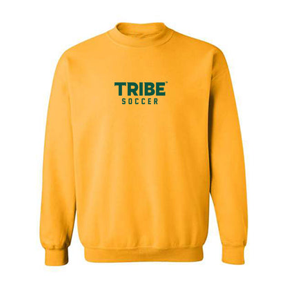 William & Mary - NCAA Men's Soccer : Damen Burney - Sports Shersey Crewneck Sweatshirt-0