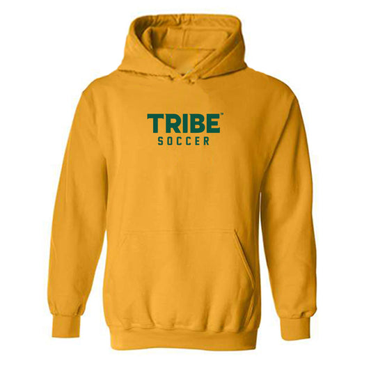 William & Mary - NCAA Men's Soccer : Damen Burney - Sports Shersey Hooded Sweatshirt-0