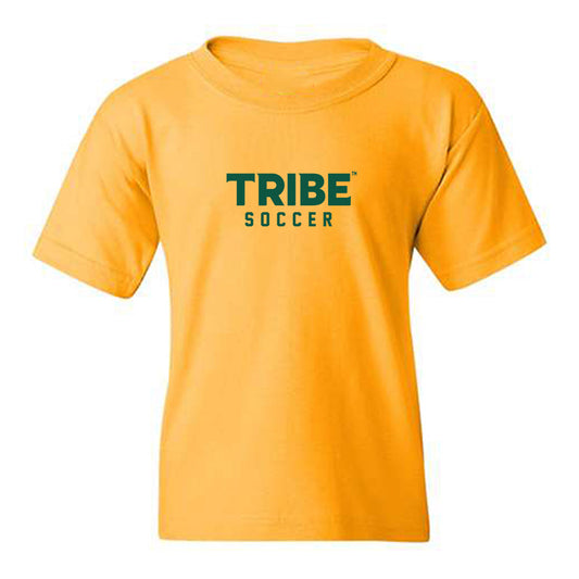 William & Mary - NCAA Men's Soccer : Michael DiOrio - Sports Shersey Youth T-Shirt-0