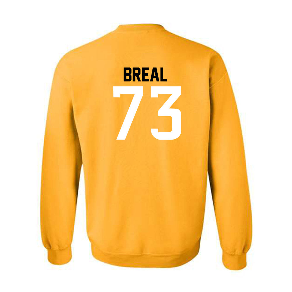 Southern Miss - NCAA Football : Hayden Breal - Replica Shersey Crewneck Sweatshirt-1