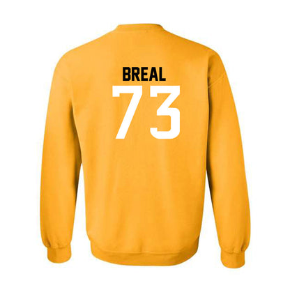 Southern Miss - NCAA Football : Hayden Breal - Replica Shersey Crewneck Sweatshirt-1