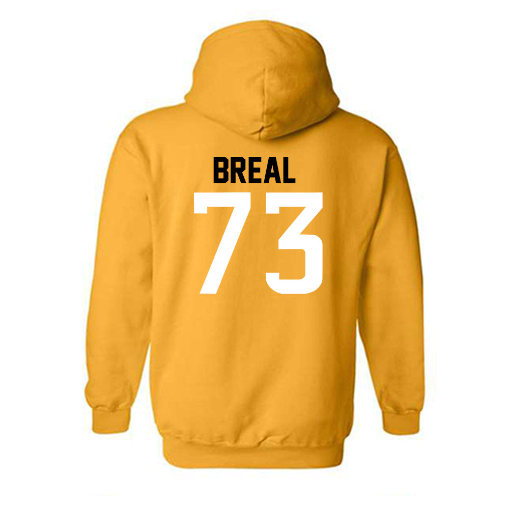 Southern Miss - NCAA Football : Hayden Breal - Replica Shersey Hooded Sweatshirt-1
