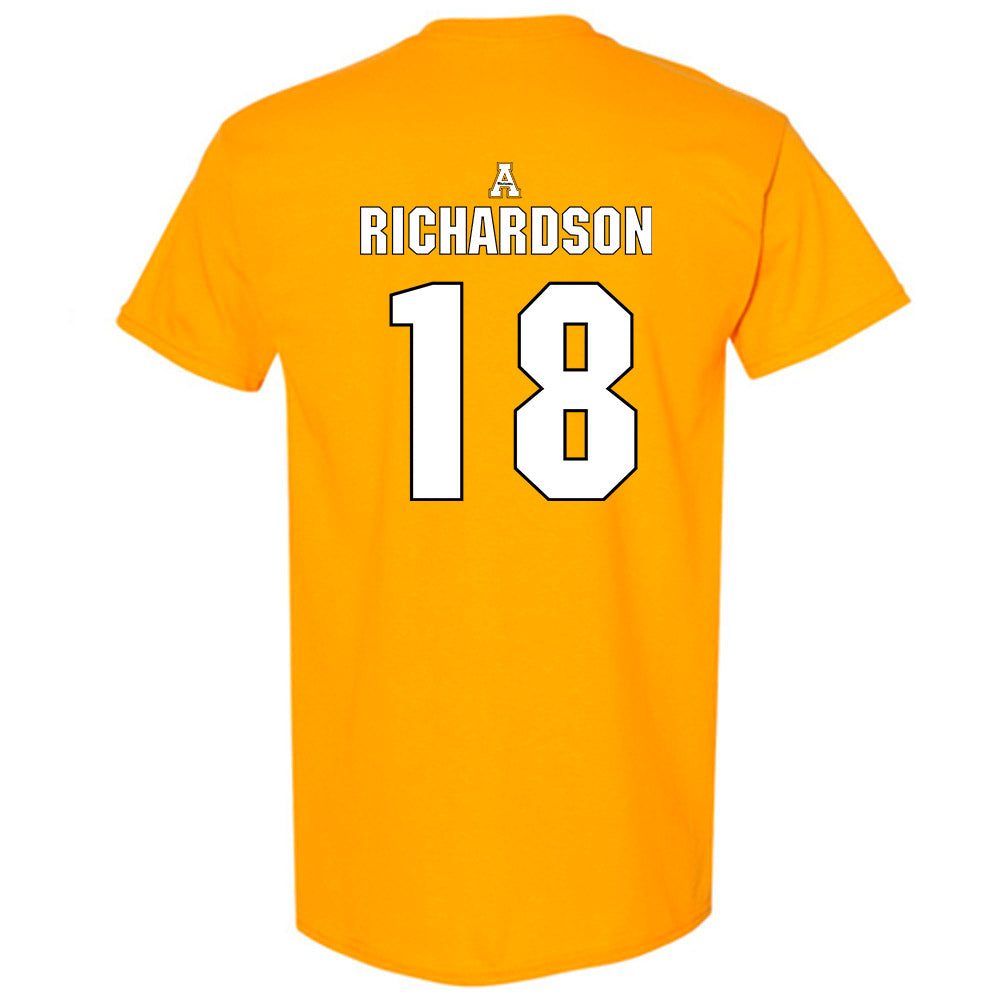 App State - NCAA Women's Volleyball : Raegan Richardson - Replica Shersey T-Shirt-1