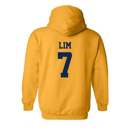 UCSD - NCAA Men's Volleyball : Matthew Lim - Hooded Sweatshirt Classic Shersey