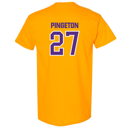 North Alabama - NCAA Baseball : Anthony Pingeton - T-Shirt Classic Shersey
