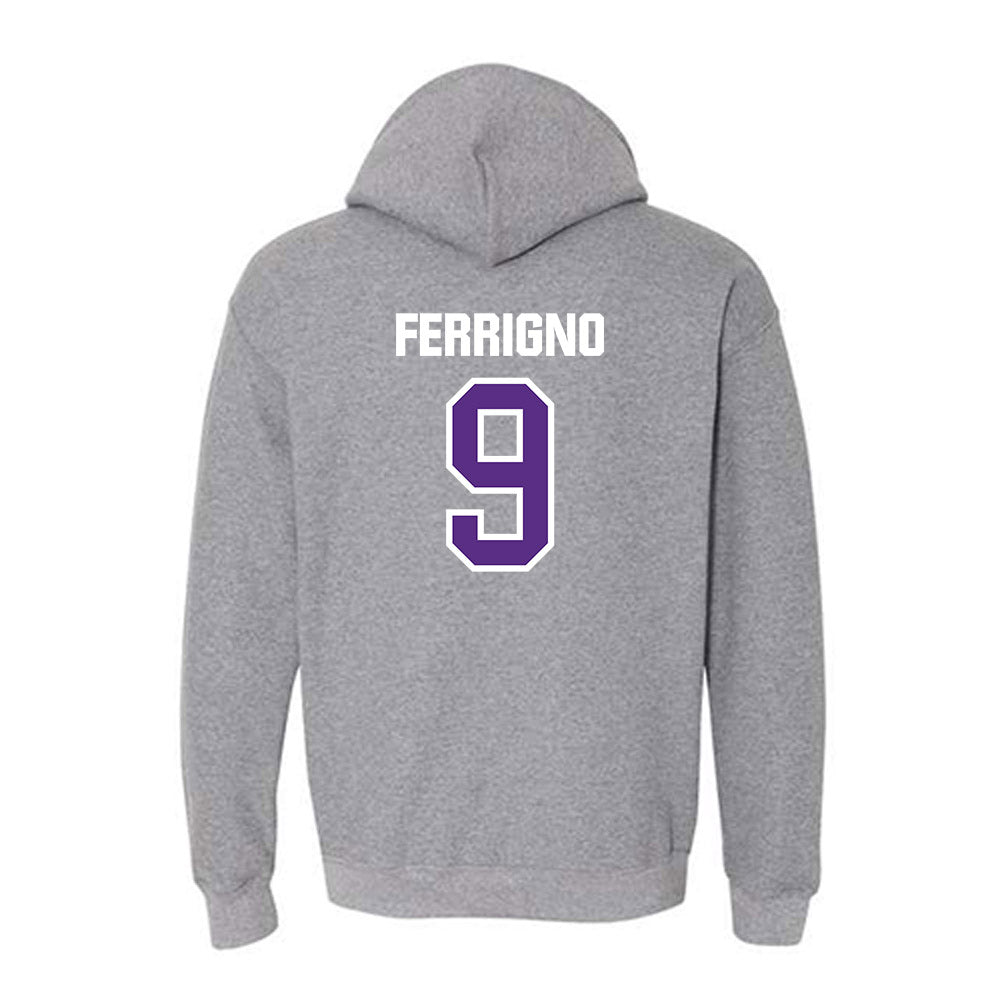 North Alabama - NCAA Baseball : Jackson Ferrigno - Hooded Sweatshirt Classic Shersey