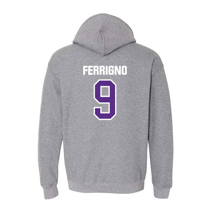 North Alabama - NCAA Baseball : Jackson Ferrigno - Hooded Sweatshirt Classic Shersey