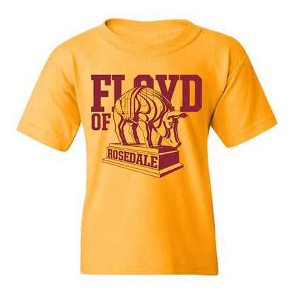 Minnesota - Dinkytown Athlete : Floyd of Rosedale Youth T-Shirt