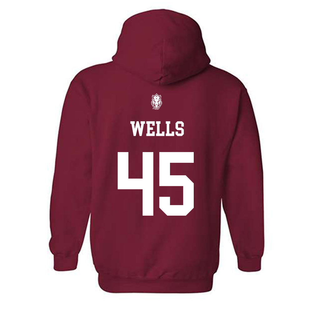 Arkansas - NCAA Softball : Jayden Wells - Hooded Sweatshirt Classic Shersey