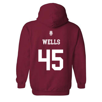Arkansas - NCAA Softball : Jayden Wells - Hooded Sweatshirt Classic Shersey