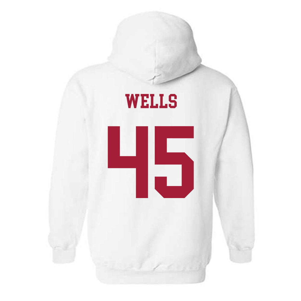 Arkansas - NCAA Softball : Jayden Wells - Hooded Sweatshirt Sports Shersey